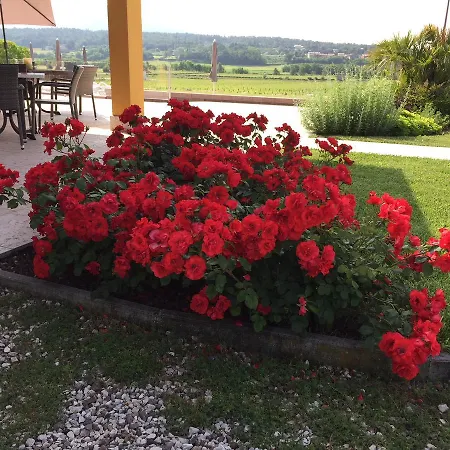 Ca' Marognole 住宿加早餐酒店 卡普里诺韦罗内塞