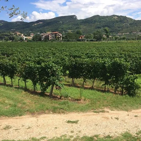 Ca' Marognole קאפרינו ורונזה