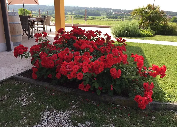 Ca' Marognole ベッド・アンド・ブレックファスト カプリーノ・ヴェロネーゼ