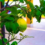 Ca' Marognole Bed & Breakfast Caprino Veronese