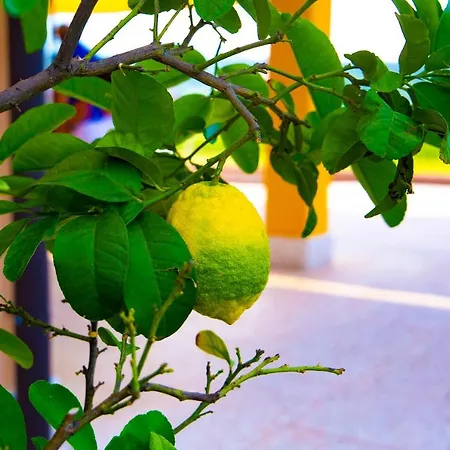 Ca' Marognole Bed & Breakfast Caprino Veronese